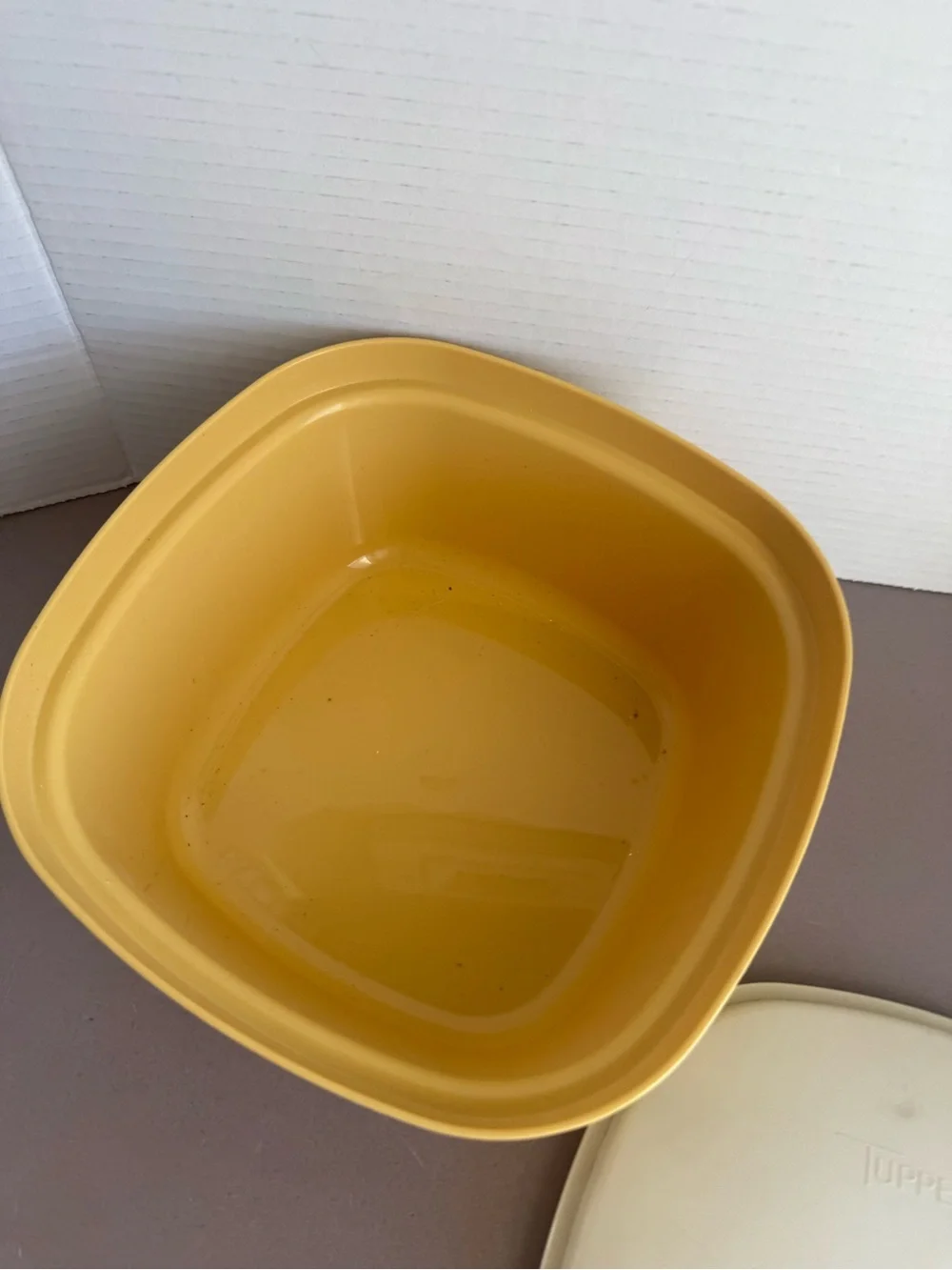 Vintage Tupperware Steam and Store Container